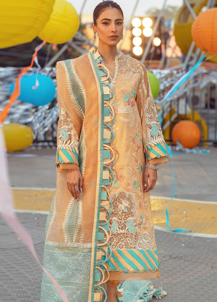 Lilibet By Asifa & Nabeel Embroidered Lawn Suits Unstitched 3 Piece AN22L (SL-07) Serenity - Spring / Summer Collection