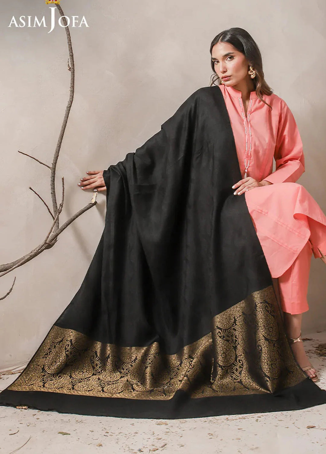 Asim Jofa Blended Shawl AJ24SC AJHS-01 - Shawl Collection