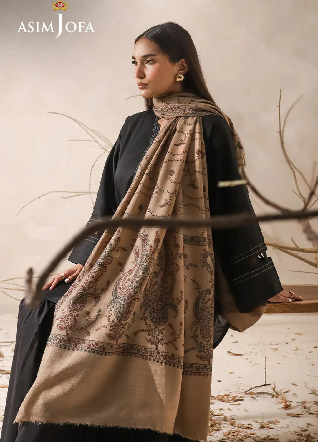 Asim Jofa Blended Shawl AJ24SC AJHS-18 - Shawl Collection