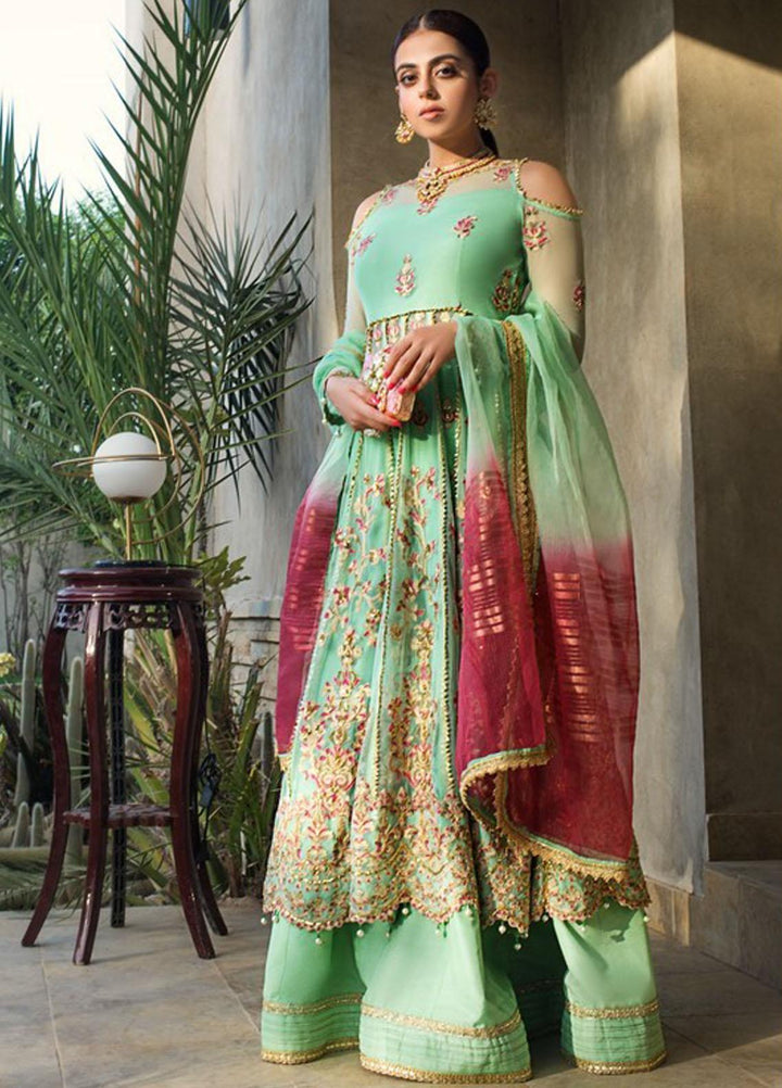 Asim Jofa Embroidered Tulle Suits Unstitched 3 Piece AJ21C-2 AJLE-14 - Festive Collection