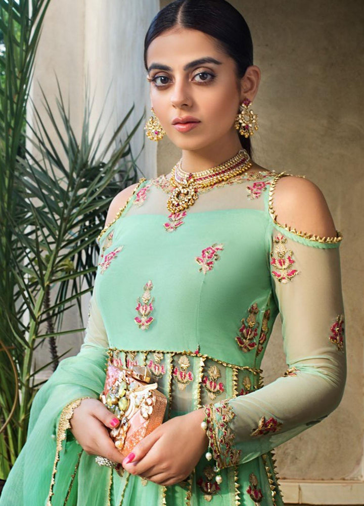 Asim Jofa Embroidered Tulle Suits Unstitched 3 Piece AJ21C-2 AJLE-14 - Festive Collection