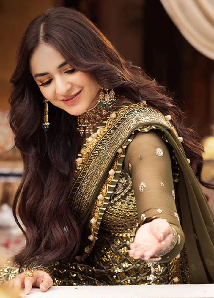 Asim Jofa Embroidered Chiffon Suits Unstitched 3 Piece AJ24CE AJCE-08 - Formal Collection