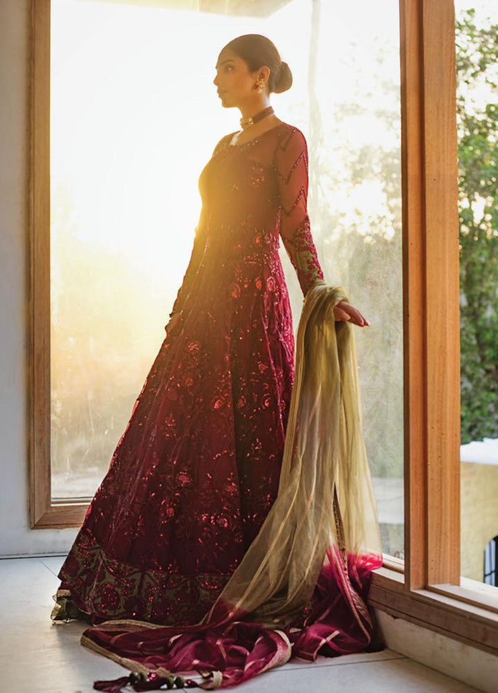 Asim Jofa Embroidered Net Suits Unstitched 3 Piece AJ21LE 01 - Luxury Collection