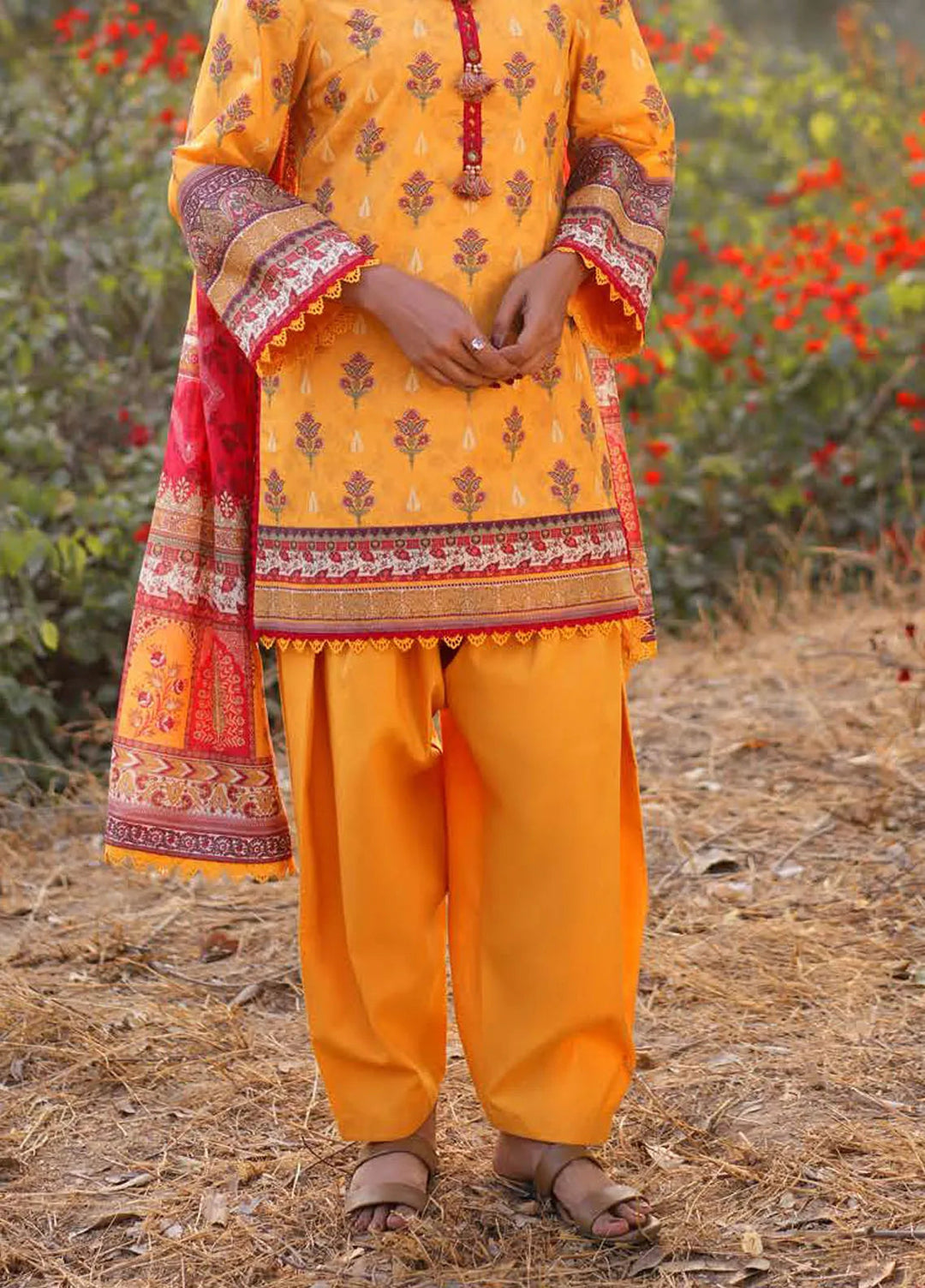 Asim Jofa Printed Lawn Suits Unstitched 3 Piece AJ25P1 AJUUB-06 - Summer Collection