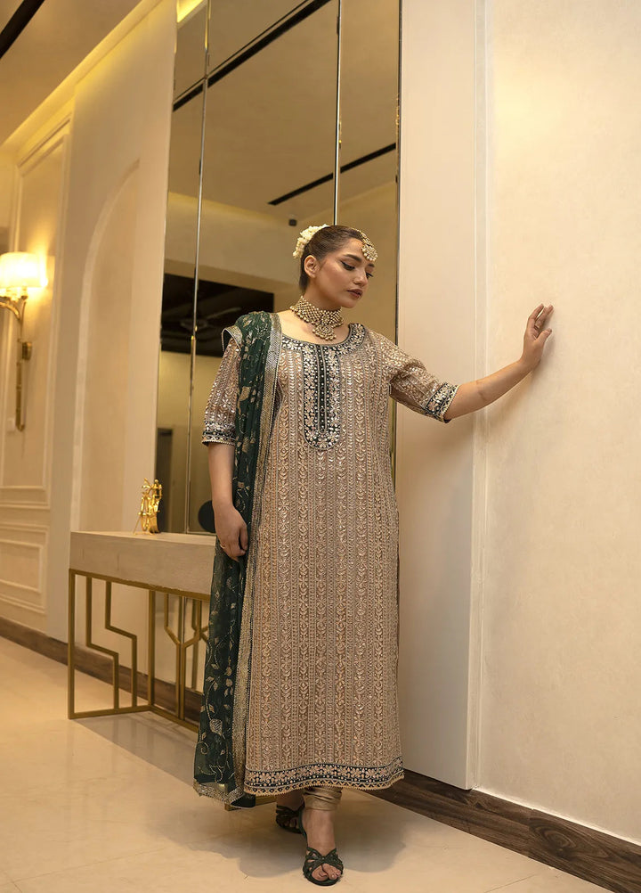 Atiya Irfan Studio Pret Embroidered Tissue 2 Piece Suit NF-19