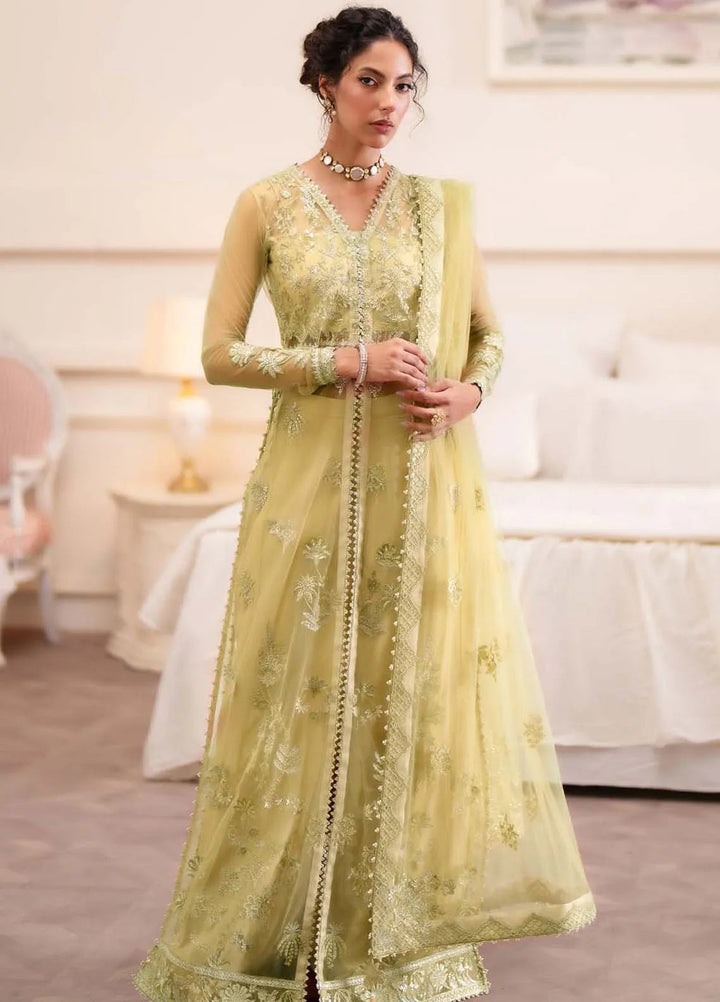 Aurelle By Seran Embroidered Net Suit Unstitched 3 Piece SRN24AL D-06 Aurelia - Formal Collection