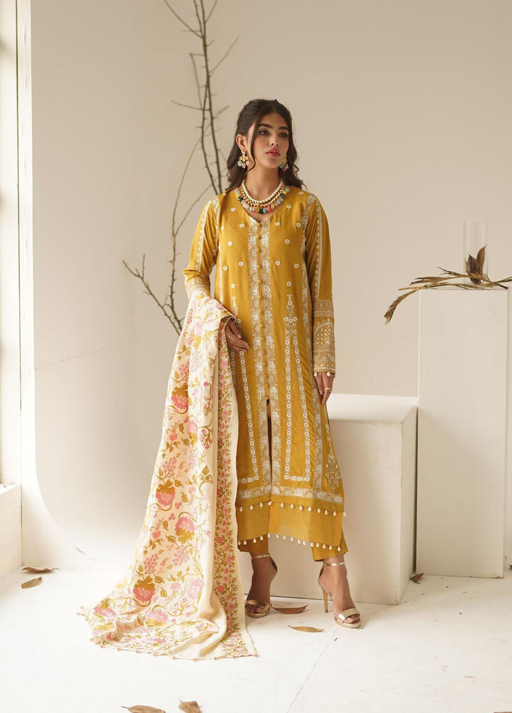 Ayra by Muraad Embroidered Raw Silk Suits Unstitched 3 Piece MU22AR A-005 Arzu - Luxury Winter Collection