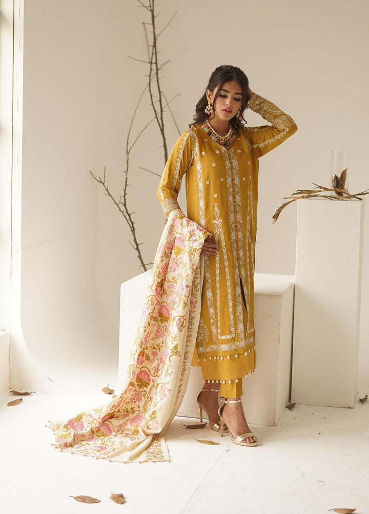 Ayra by Muraad Embroidered Raw Silk Suits Unstitched 3 Piece MU22AR A-005 Arzu - Luxury Winter Collection