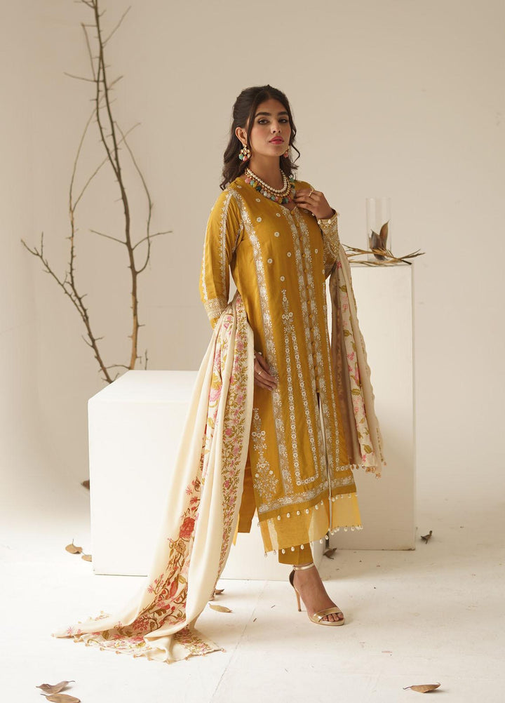 Ayra by Muraad Embroidered Raw Silk Suits Unstitched 3 Piece MU22AR A-005 Arzu - Luxury Winter Collection