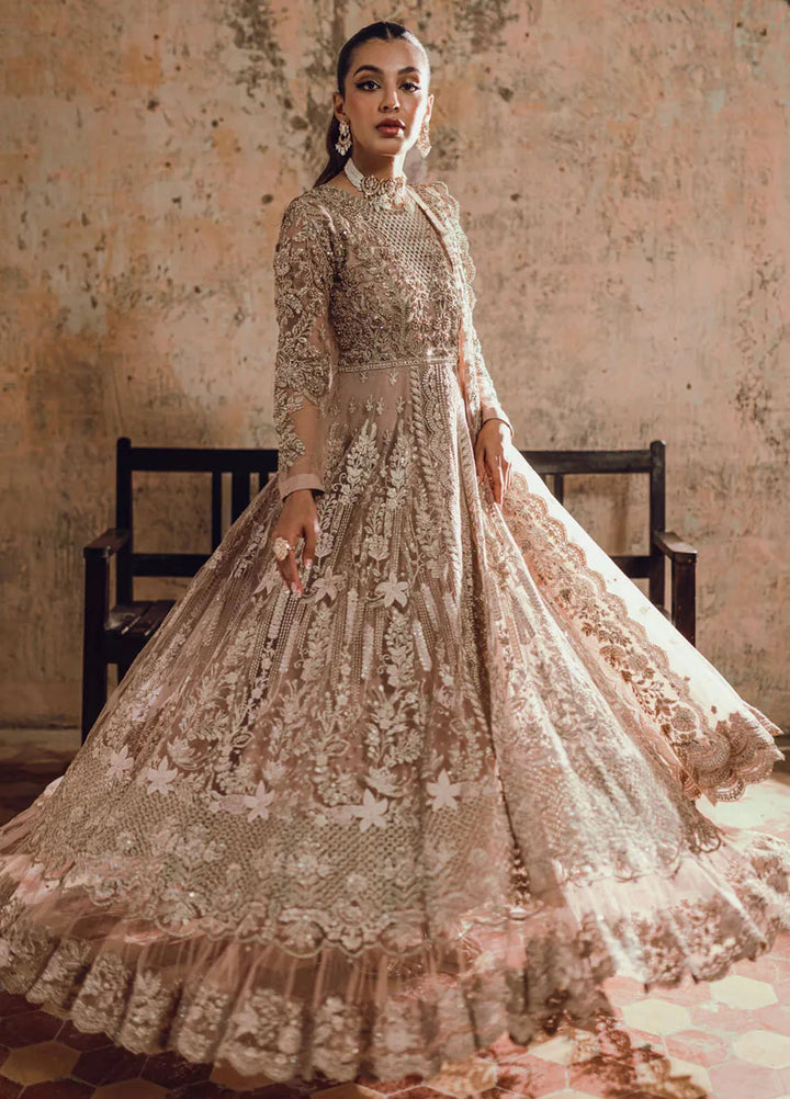 Azure Embroidered Net Suit Unstitched 3 Piece AZ24W Nayaab - Formals Collection