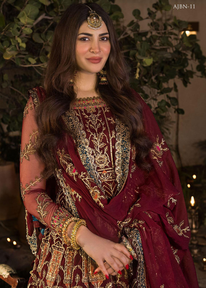 Asim Jofa Luxury Pret Embroidered Net 3 Piece Dress AJ23PWB AJNB-11