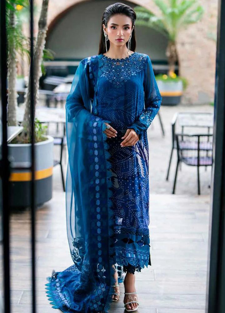 Ballerina By Nureh Embroidered Chiffon Suit Unstitched 3 Piece NU24BW NU2-151 - Winter Collection