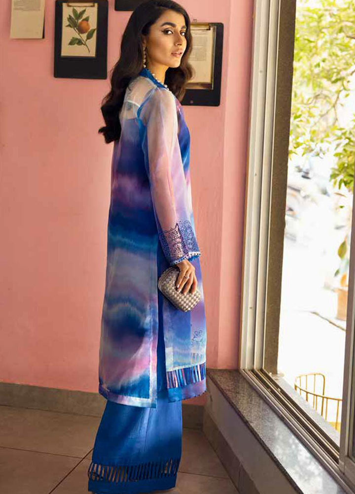 Ballerina By Nureh Embroidered Organza Suits Unstitched 2 Piece NU22B NU2- 23 RETRO BUBBLE - Luxury Collection