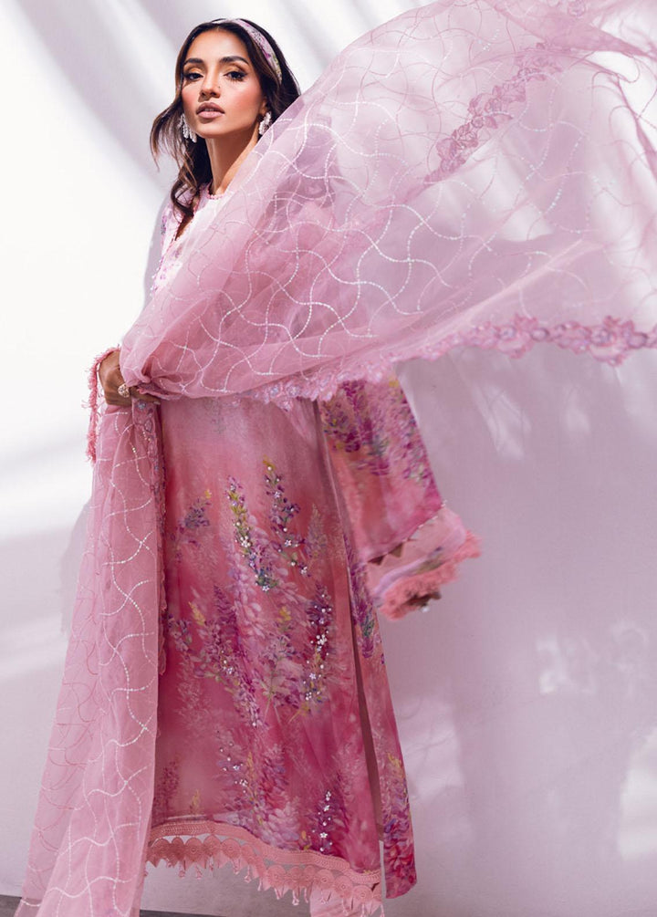 Ballerina By Nureh Embroidered Chiffon Suits Unstitched 4 Piece NU24BL NU2 134 Bombshell - Festive Collection