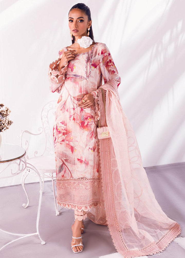 Ballerina By Nureh Embroidered Chiffon Suits Unstitched 4 Piece NU24BL NU2 135 Oak Mist - Festive Collection