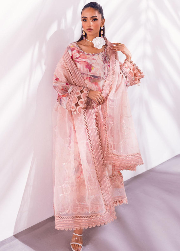 Ballerina By Nureh Embroidered Chiffon Suits Unstitched 4 Piece NU24BL NU2 135 Oak Mist - Festive Collection