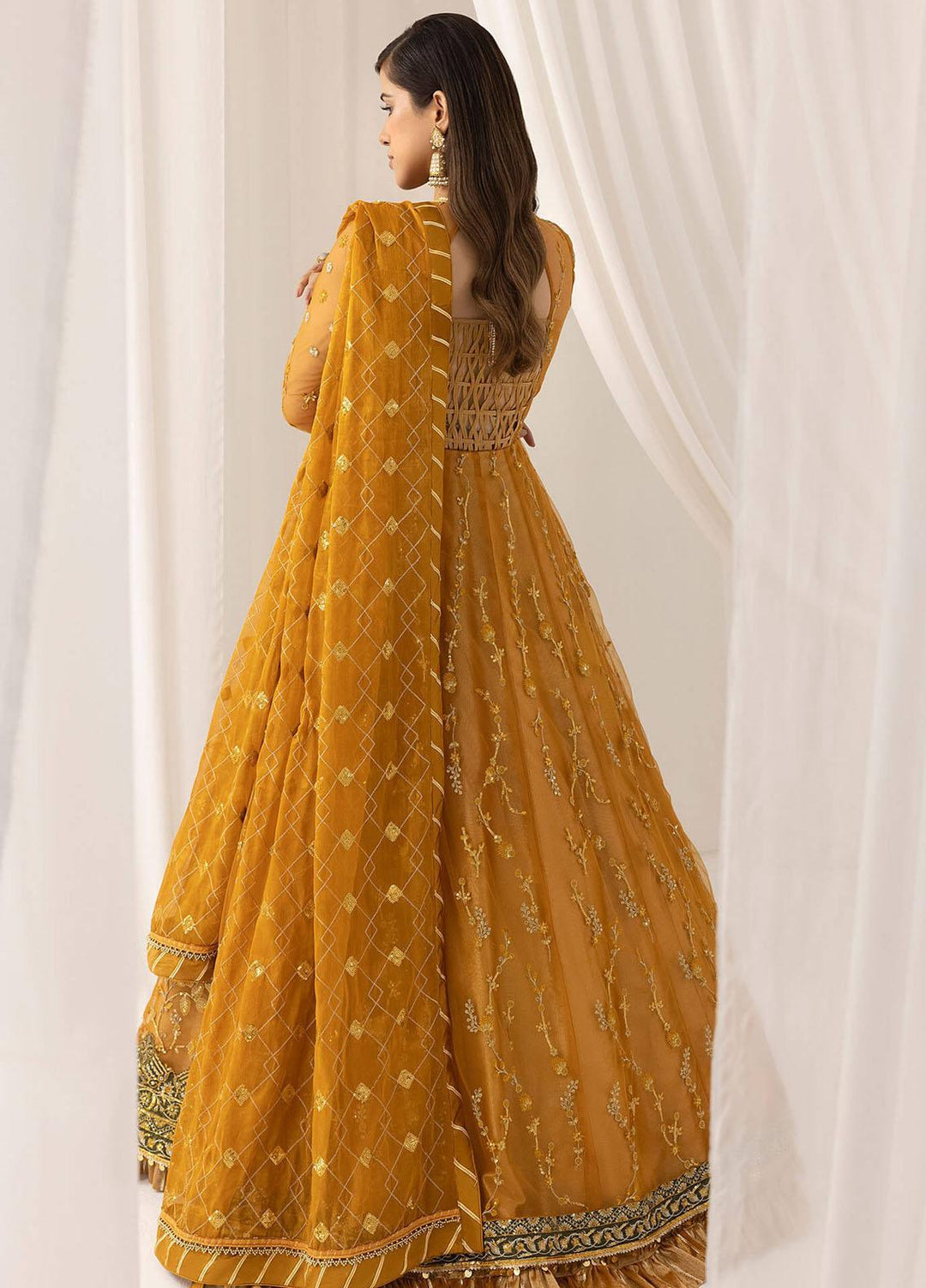 Barasti By Asifa & Nabeel Embroidered Net Suits Unstitched 3 Piece AN23BT ANB-03 Chashni - Festive Collection