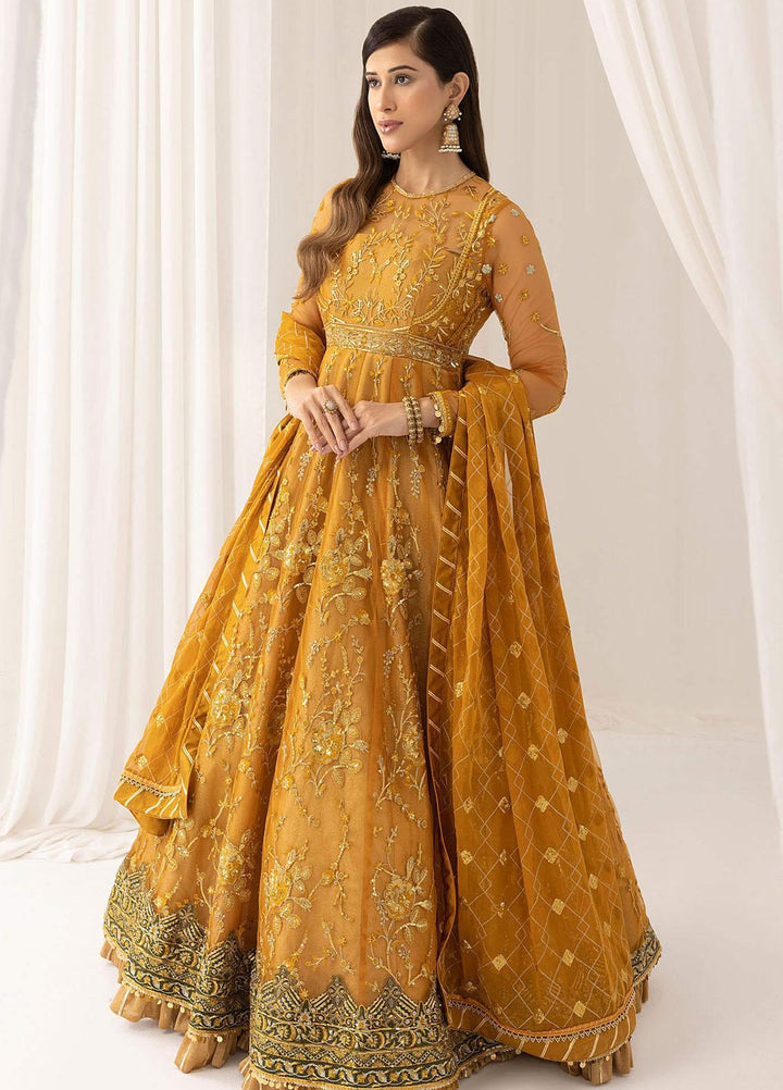 Barasti By Asifa & Nabeel Embroidered Net Suits Unstitched 3 Piece AN23BT ANB-03 Chashni - Festive Collection