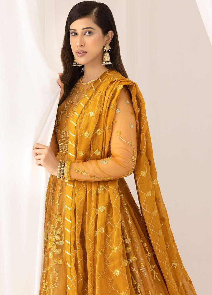 Barasti By Asifa & Nabeel Embroidered Net Suits Unstitched 3 Piece AN23BT ANB-03 Chashni - Festive Collection