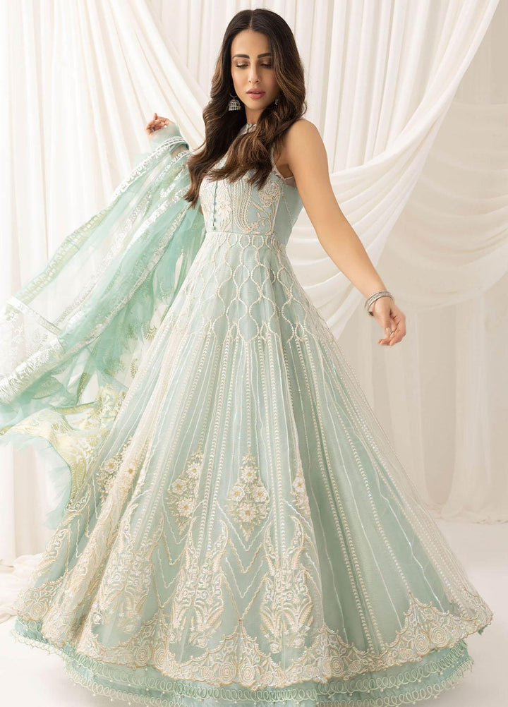 Barasti By Asifa & Nabeel Embroidered Net Suits Unstitched 3 Piece AN23BT ANB-05 Chandni - Festive Collection