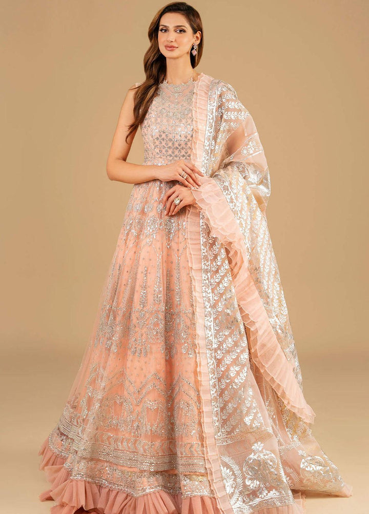 Barasti By Asifa & Nabeel Embroidered Net Suits Unstitched 3 Piece AN23BT ANB-06 Shahnai - Festive Collection