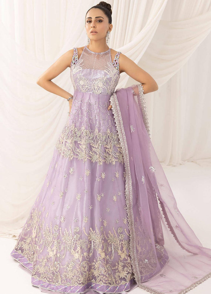 Barasti By Asifa & Nabeel Embroidered Net Suits Unstitched 3 Piece AN23BT ANB-09 Risham - Festive Collection