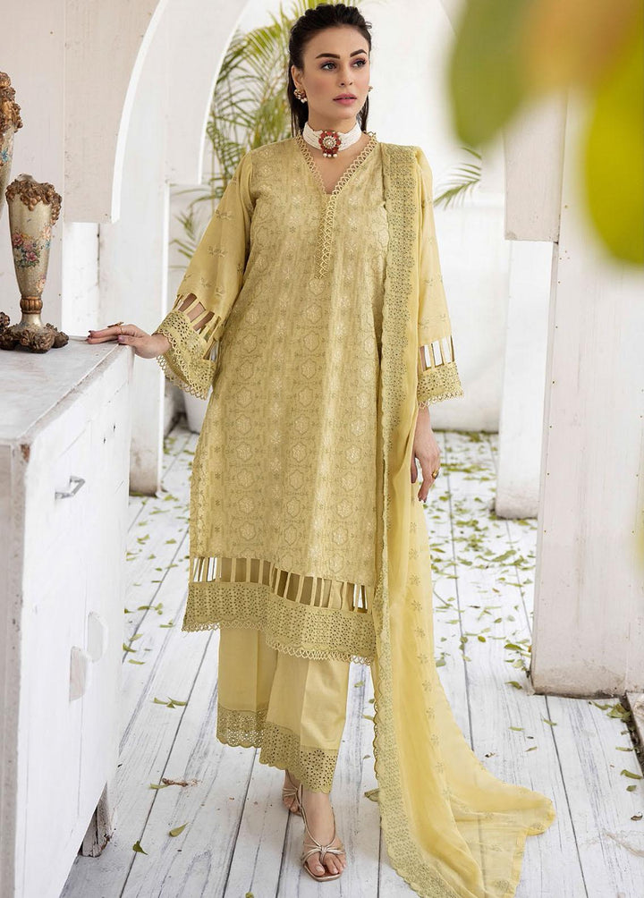 Bareeze By Aalaya Embroidered Lawn Suits Unstitched 3 Piece ALY23-B2 03 - Summer Collection