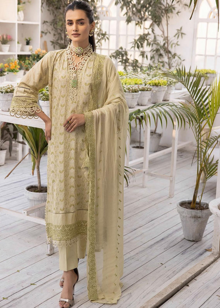 Bareeze By Aalaya Embroidered Lawn Suits Unstitched 3 Piece ALY23-B2 06 - Summer Collection