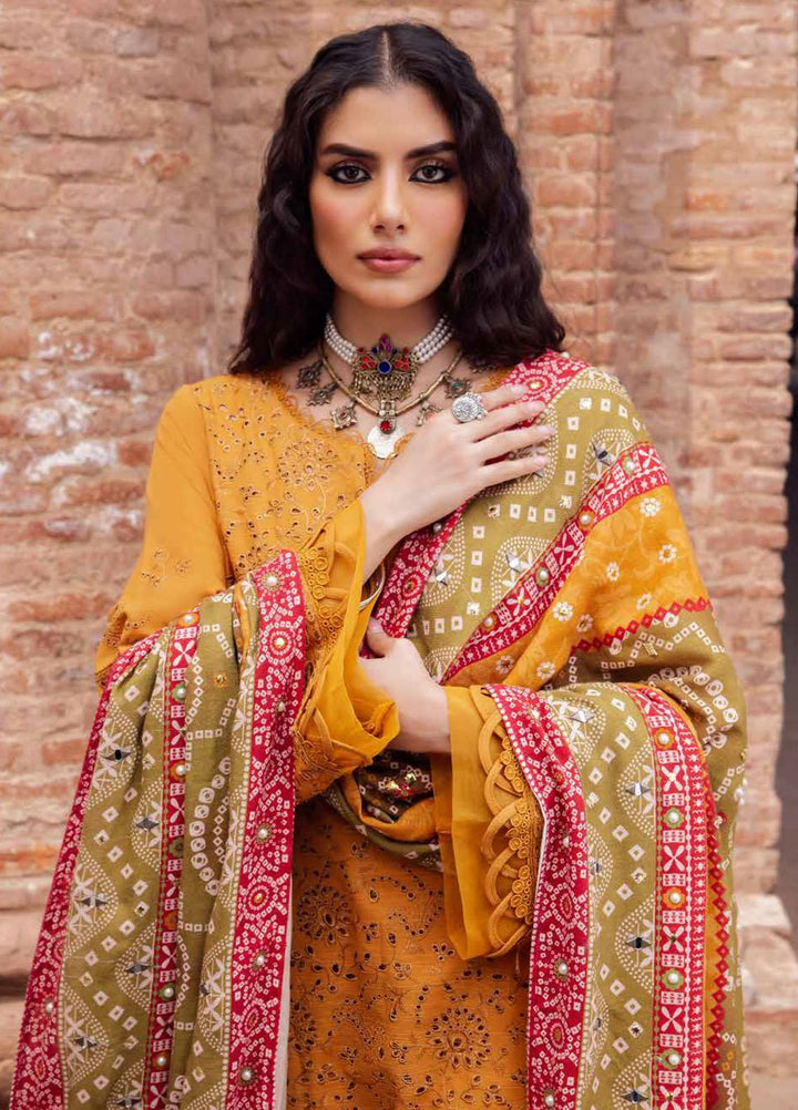 Bazaar By Nureh Embroidered Chikankari Khaddar Suits Unstitched 4 Piece NU23BCK NE-49 - Winter Collection