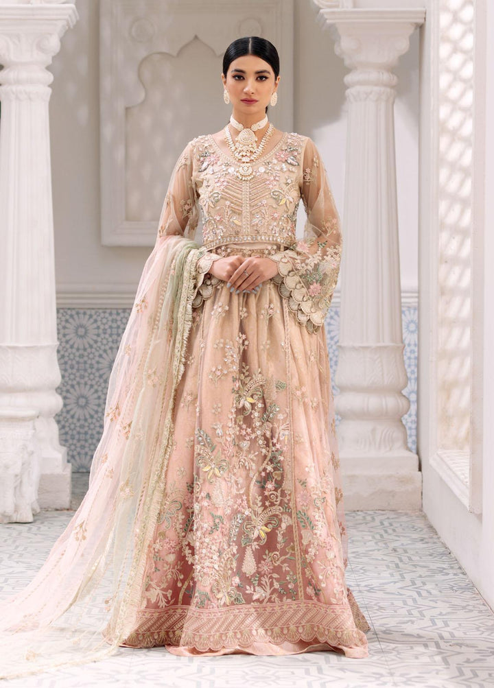 Belle Robe by Emaan Adeel Embroidered Net Suits Unstitched 3 Piece EA22-BR3 309 - Luxury Collection