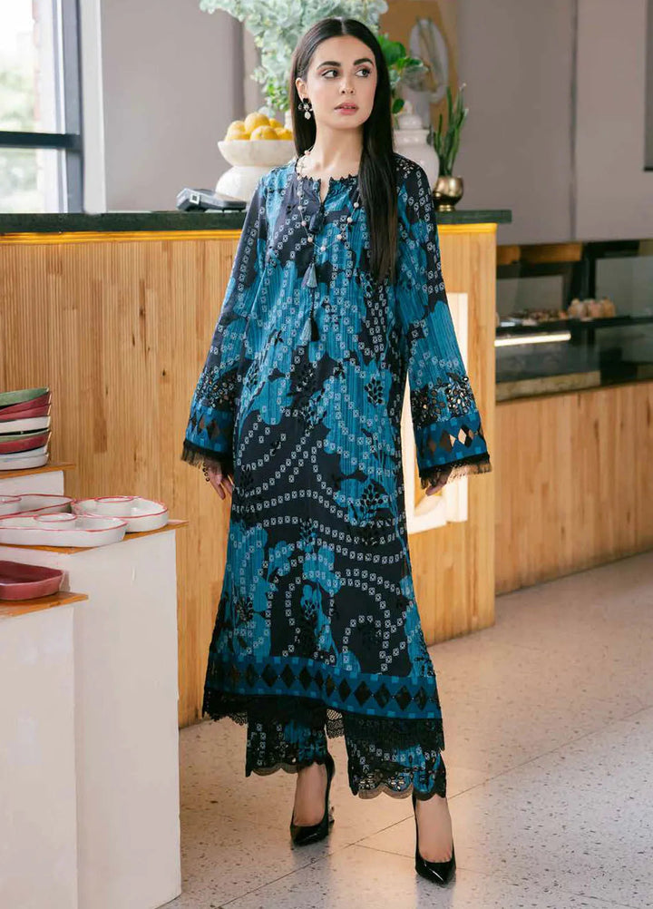 Bellerina by Nureh Chikankari Lawn Suits Unstitched 2 Piece NU25BE NU2-150 - Summer Collection