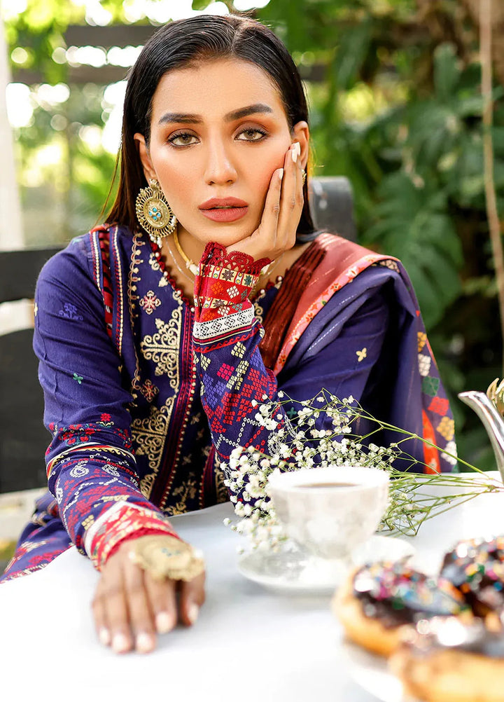 Bin Ilyas Embroidered Kotail Suits Unstitched 3 Piece BI24MJ 763 B - Winter Collection