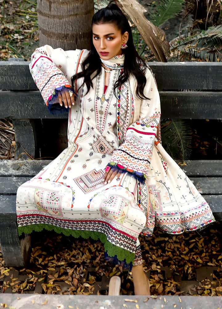 Bin Ilyas Embroidered Kotail Suits Unstitched 3 Piece BI24MJ 764 A - Winter Collection