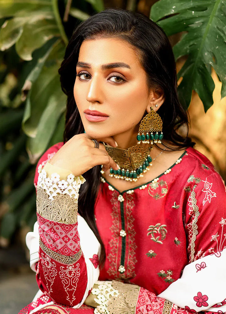 Bin Ilyas Embroidered Kotail Suits Unstitched 3 Piece BI24MJ 766 B - Winter Collection
