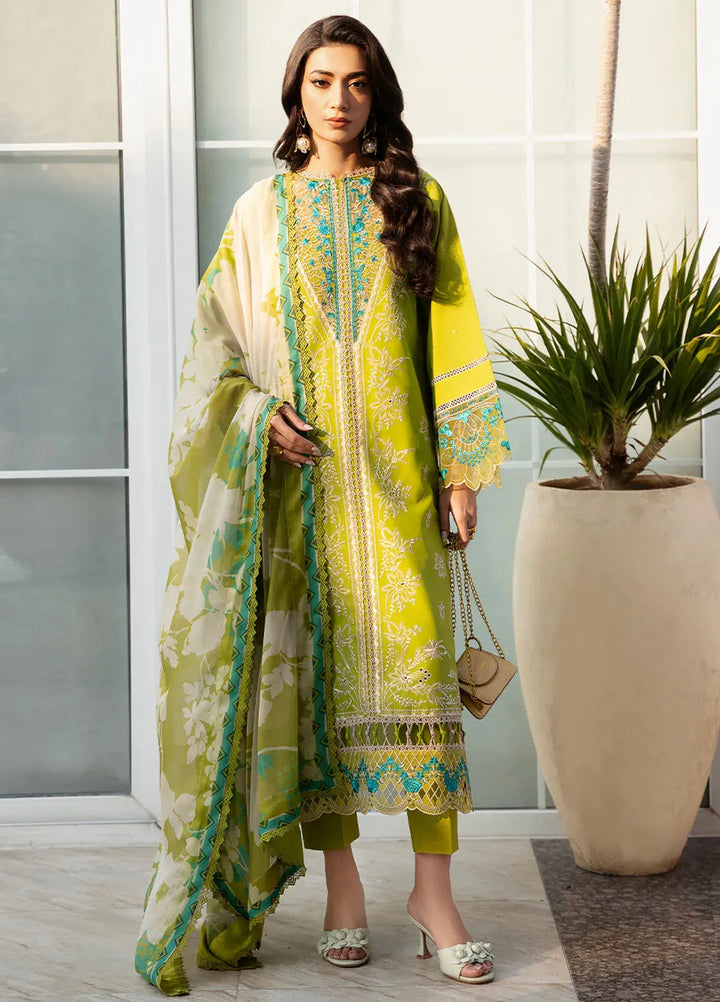 Bin Ilyas Embroidered Lawn Suits Unstitched 3 Piece BI25SE 312-B - Winter Collection