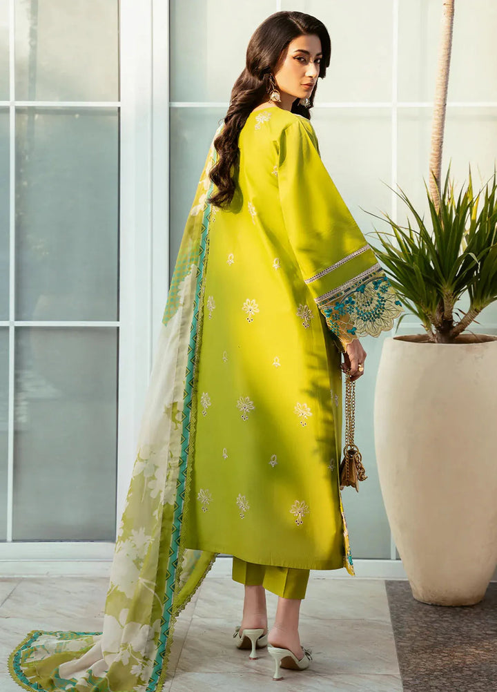 Bin Ilyas Embroidered Lawn Suits Unstitched 3 Piece BI25SE 312-B - Winter Collection