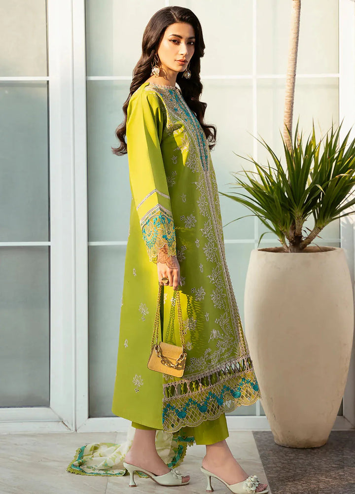 Bin Ilyas Embroidered Lawn Suits Unstitched 3 Piece BI25SE 312-B - Winter Collection