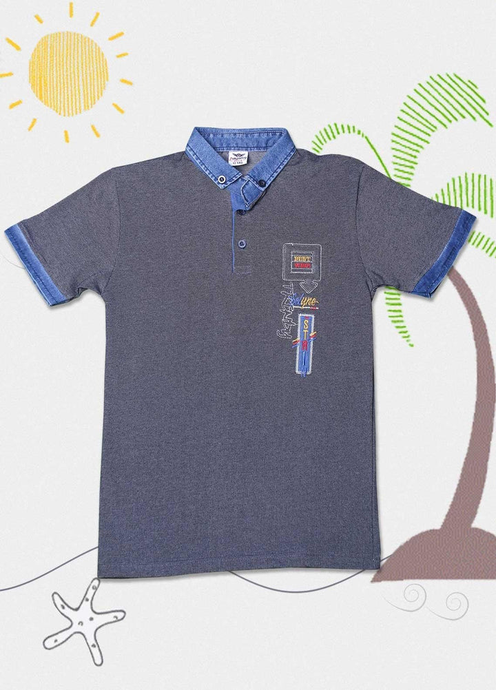 Sanaulla Exclusive Range Cotton Casual Boys T-Shirts -  D-1001437 Grey