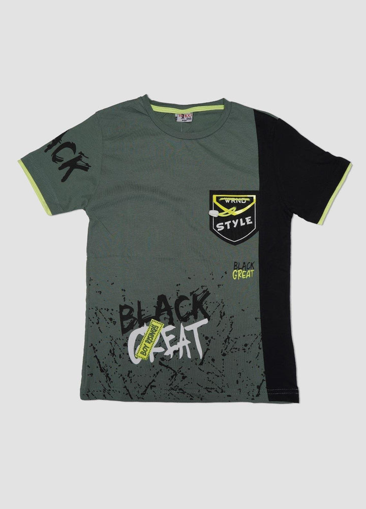 Sanaulla Exclusive Range Cotton Casual T-Shirts for Boys -  6798 Light Green