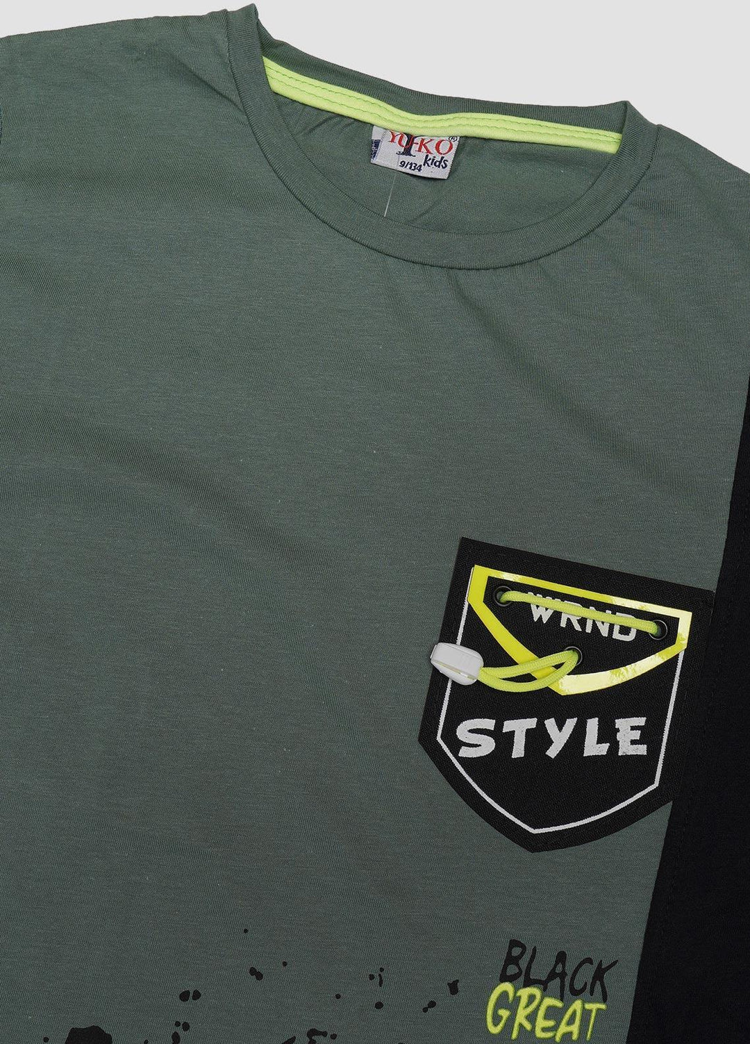 Sanaulla Exclusive Range Cotton Casual T-Shirts for Boys -  6798 Light Green