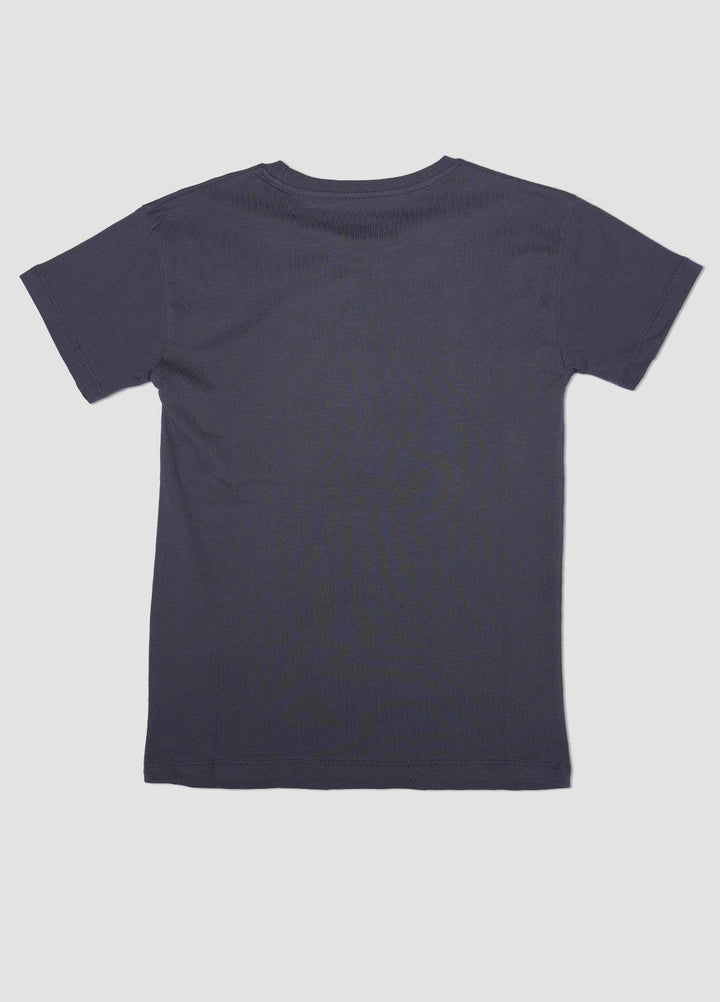 Sanaulla Exclusive Range Cotton Casual Boys T-Shirts -  7566 Grey
