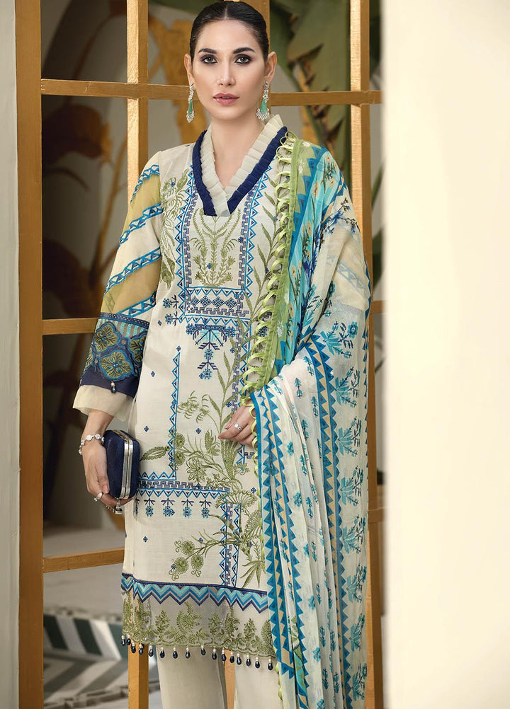 Resham Ghar Embroidered Lawn Suits Unstitched 3 Piece RG21B RGS-09 - Summer Collection