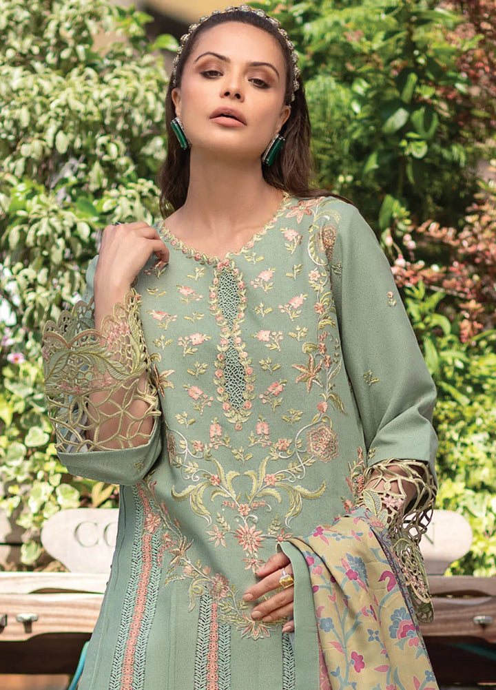 Carnation By Rang Rasiya Embroidered Karandi Suit Unstitched 3 Piece RR24CE D-06 Lisa - Winter Collection