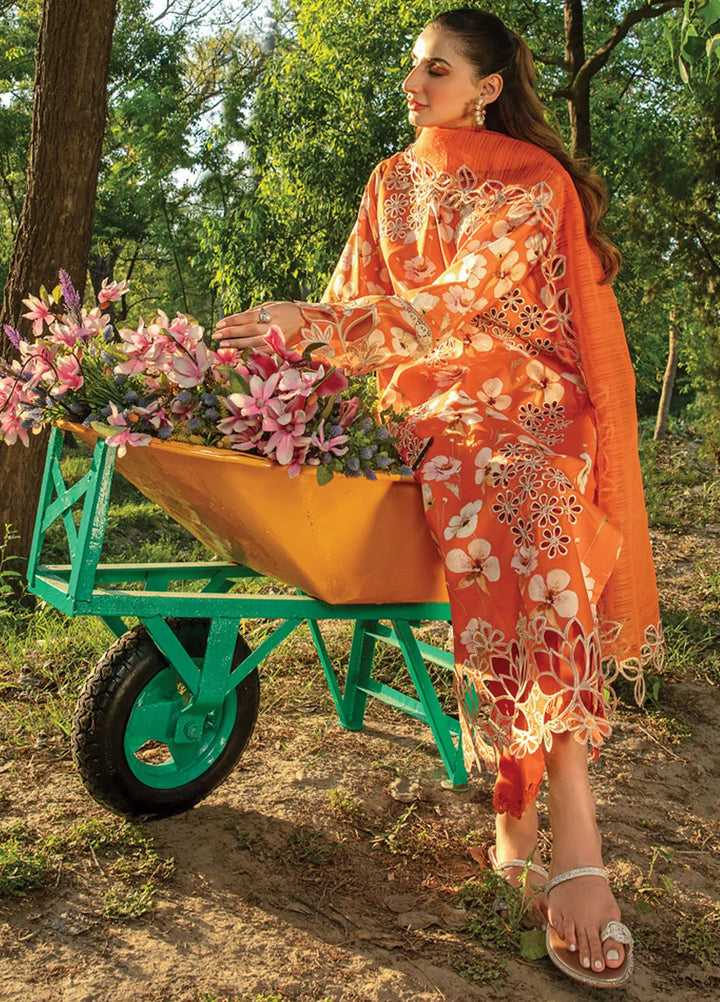 Carnation By Rang Rasiya Embroidered Lawn Suit Unstitched 3 Piece RR24CF D-06 Coco - Summer Collection