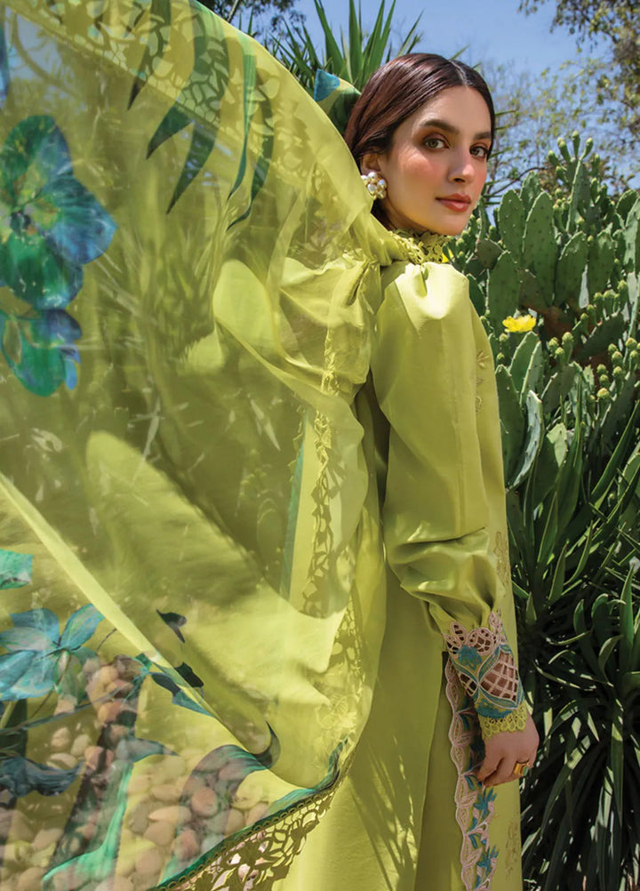 Carnation By Rang Rasiya Embroidered Lawn Suit Unstitched 3 Piece RR24CF D-14 Liana - Summer Collection