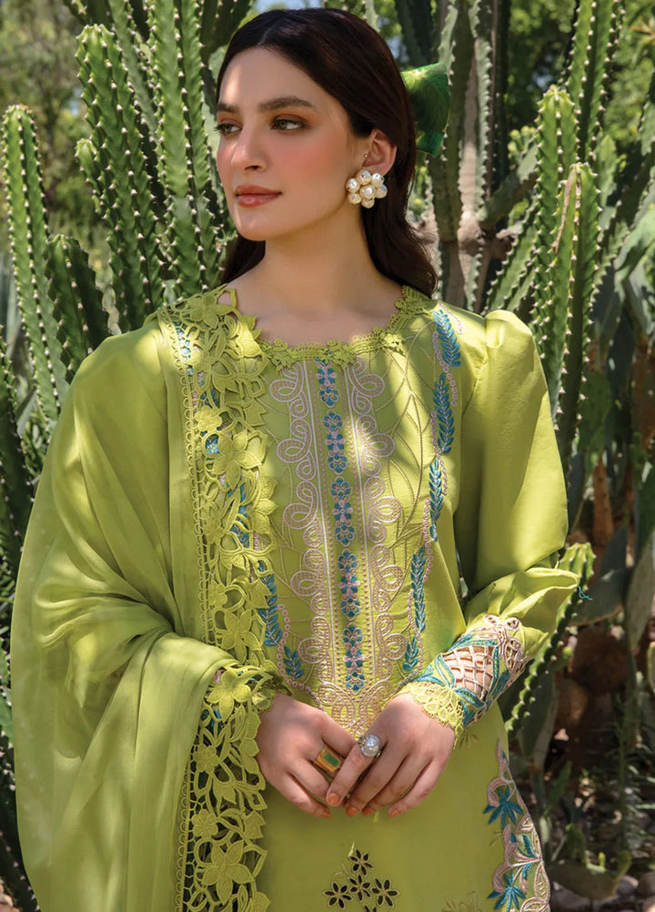 Carnation By Rang Rasiya Embroidered Lawn Suit Unstitched 3 Piece RR24CF D-14 Liana - Summer Collection