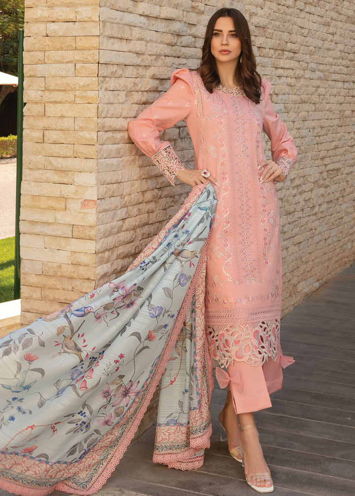 Carnation By Rang Rasiya Embroidered Lawn Suits Unstitched 3 Piece RR24C D-01 - Summer Collection