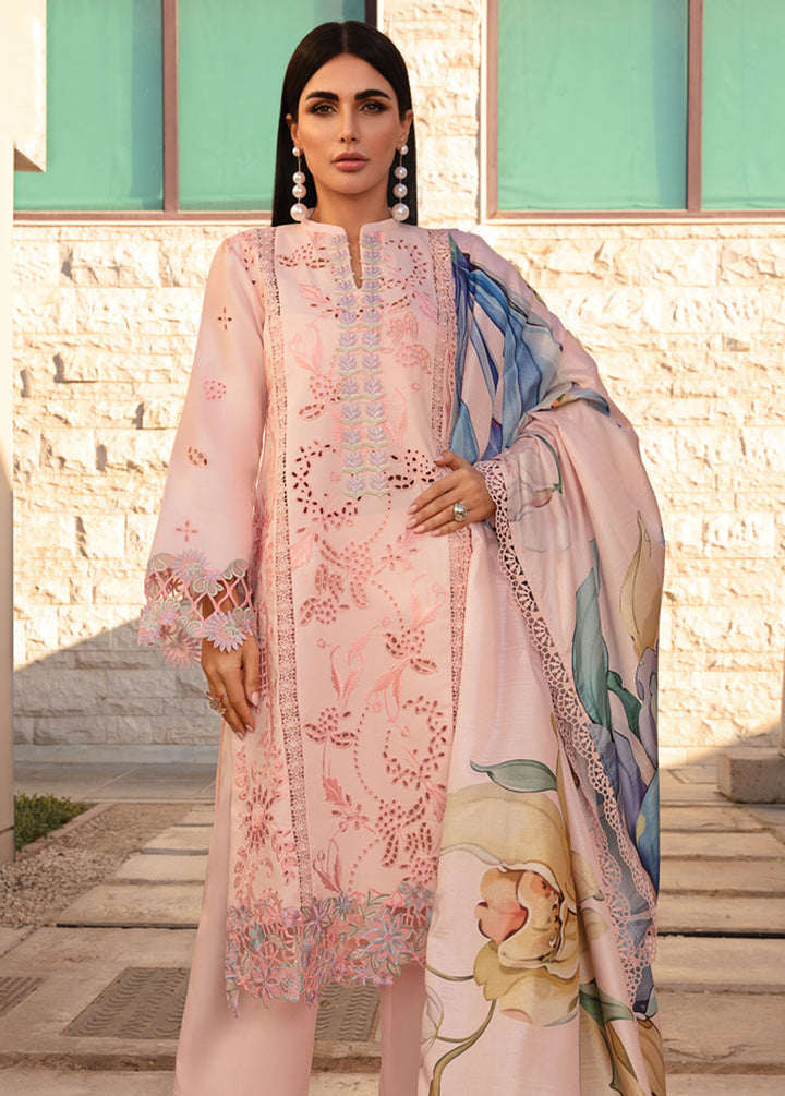 Carnation By Rang Rasiya Embroidered Lawn Suits Unstitched 3 Piece RR24C D-03 - Summer Collection