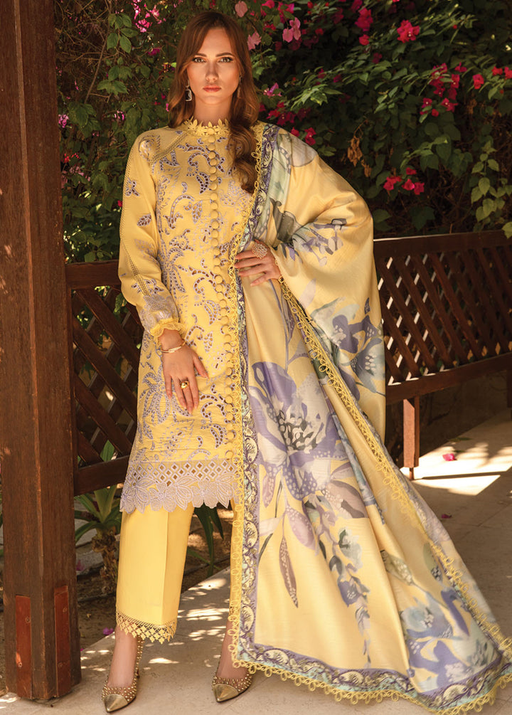 Carnation By Rang Rasiya Embroidered Lawn Suits Unstitched 3 Piece RR24C D-06 - Summer Collection