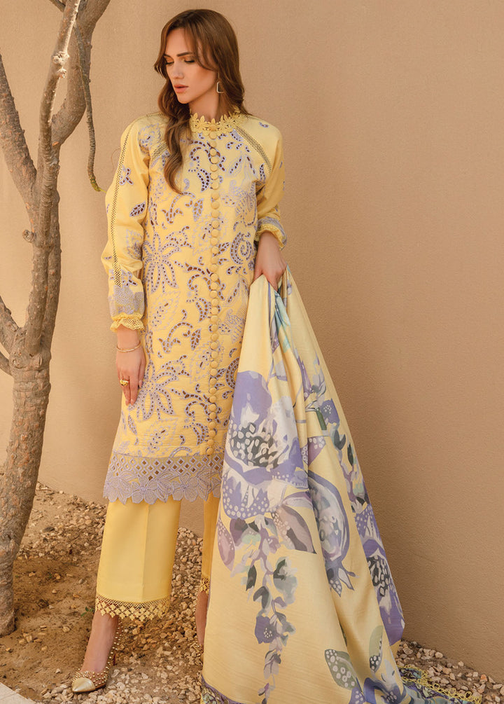 Carnation By Rang Rasiya Embroidered Lawn Suits Unstitched 3 Piece RR24C D-06 - Summer Collection